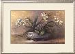 Orchid Elegance by Paul Mathenia Limited Edition Print