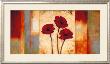 Poppies In Rhythm I by Brian Francis Limited Edition Pricing Art Print