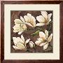 Fiori Di Magnolia by Giuseppina Tartagni Limited Edition Print