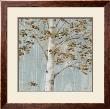 Birch Study Ii by Daphne Brissonnet Limited Edition Print