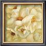 Ivory Primrose by Fabrice De Villeneuve Limited Edition Print