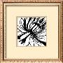Miniature Botanical Sketch Ii by Ethan Harper Limited Edition Print