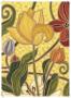 Mini Sunny Garden Ii by Karen Deans Limited Edition Print