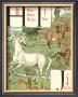 Noah's Alphabet Iii by Walter Crane Limited Edition Print