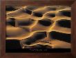 Dromadaires I by Yann Arthus-Bertrand Limited Edition Pricing Art Print