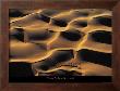 Dromadaires I by Yann Arthus-Bertrand Limited Edition Print