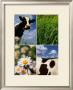 Pastoral Cow by Panais & Morcime Dumoulin Limited Edition Pricing Art Print