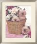 Kitty Bouquet by Diane Leis Limited Edition Print