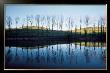 Lago Di San Valentino, Emilia, C.1979 by Franco Fontana Limited Edition Print