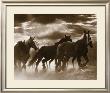 Running Horses And Sunbeams by Monte Nagler Limited Edition Print