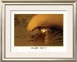 Golden Flight by Woody Woodworth Limited Edition Print