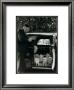 Les Chien Du Marquis De Cuevas, Bois De Boulogne by Robert Doisneau Limited Edition Print