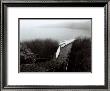 Racing Sculls, Lake Merced, San Francisco, 1995 by Mark Citret Limited Edition Print