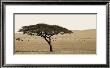 Serengeti Horizons I by Boyce Watt Limited Edition Pricing Art Print