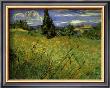 Bles Verts by Vincent Van Gogh Limited Edition Print