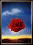The Rose by Salvador Dali Limited Edition Pricing Art Print