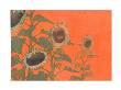 Orange Field by Joseph Jackino Limited Edition Pricing Art Print