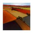 Open Field 3 by Don Bradshaw Limited Edition Pricing Art Print