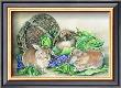 A Hare's Treasure by Kym Garraway Limited Edition Print