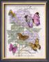 Hydrangea Butterflies Ii by Ginny Joyner Limited Edition Print