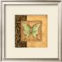 Luna Moth Square by Susan Winget Limited Edition Pricing Art Print