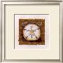 Sand Dollar by Charlene Winter Olson Limited Edition Print