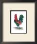 Southern Strut Iv by Kym Garraway Limited Edition Pricing Art Print