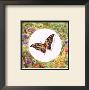 Swallow Tail by Lila Rose Kennedy Limited Edition Pricing Art Print