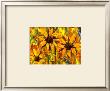 Sunflowers by Alison Fennell Limited Edition Print