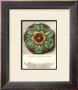 Antique Rosette Iv by Carlo Antonini Limited Edition Print