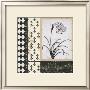 Argyle Et Fleurs I by Carol Robinson Limited Edition Print