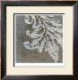 Rococo Iv by Norman Wyatt Jr. Limited Edition Pricing Art Print