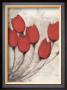 Tulipa Group Vii by Scott Olson Limited Edition Print