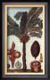 Palmier Sagou by Jean-Theodore Descourtiz Limited Edition Pricing Art Print
