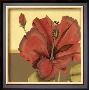 Cropped Sophisticated Hibiscus Iv by Jennifer Goldberger Limited Edition Pricing Art Print