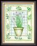 Chives by Robin Betterley Limited Edition Print