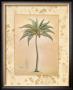 Coconut Palm by Richard Henson Limited Edition Print