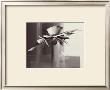 Bouquet Gris I by Olivier Tramoni Limited Edition Print