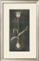 White Flower With Bulb by Stela Klein Limited Edition Print