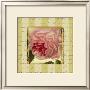 Rose And Romance Ii by Pela Design Limited Edition Pricing Art Print