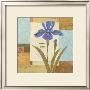 Blue Passage I by Pamela Gladding Limited Edition Print