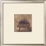 Wheel Barrow by Debra Lake Limited Edition Print