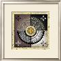 Star Wheel Iii by Michael Marcon Limited Edition Print