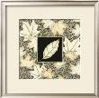 Neutral Chestnut With Maple Medley by Nancy Slocum Limited Edition Print