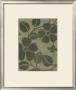 Sage Textile Ii by Norman Wyatt Jr. Limited Edition Print
