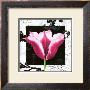 Damask Tulip Iii by Pamela Gladding Limited Edition Print