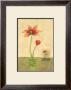 Entwined Tulips by Vanna Lam Limited Edition Print