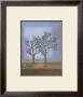 Lavender Blue Ii by Norman Wyatt Jr. Limited Edition Print