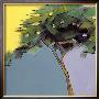 Three Trees I by Tomas Burgos Limited Edition Print