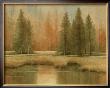 Meadow Pines by Shanna Kunz Limited Edition Print